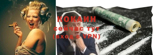 PSILOCYBIN Верхний Тагил