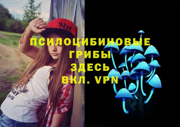 дурь Сосновоборск