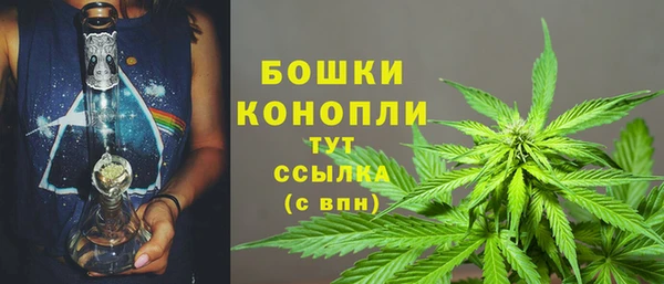 молекула духа Сосновый Бор