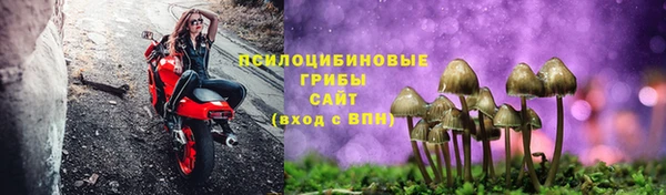молекула духа Сосновый Бор