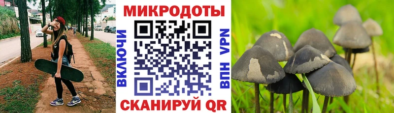 Псилоцибиновые грибы мицелий  hydra ONION  Семёнов 